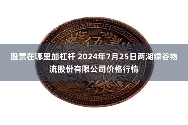 股票在哪里加杠杆 2024年7月25日两湖绿谷物流股份有限公司价格行情