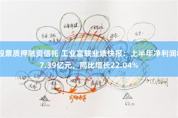 股票质押融资信托 工业富联业绩快报：上半年净利润87.39亿元，同比增长22.04%