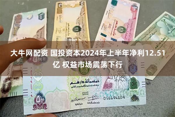 大牛网配资 国投资本2024年上半年净利12.51亿 权益市场震荡下行