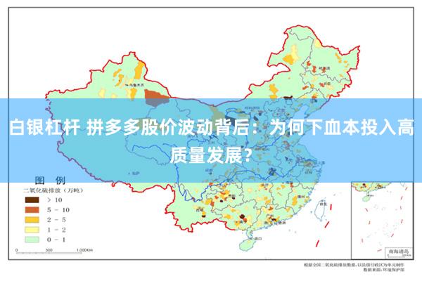 白银杠杆 拼多多股价波动背后：为何下血本投入高质量发展？