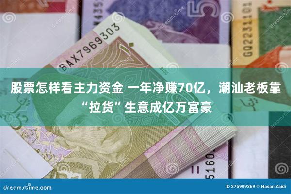 股票怎样看主力资金 一年净赚70亿，潮汕老板靠“拉货”生意成亿万富豪