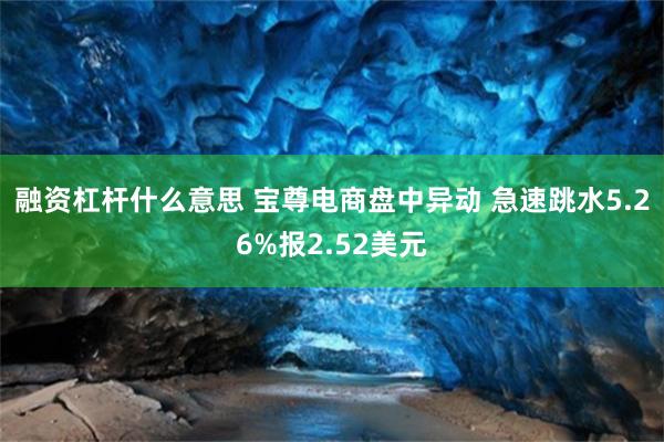 融资杠杆什么意思 宝尊电商盘中异动 急速跳水5.26%报2.52美元