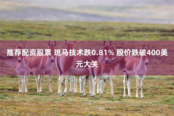 推荐配资股票 斑马技术跌0.81% 股价跌破400美元大关