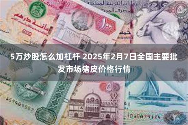 5万炒股怎么加杠杆 2025年2月7日全国主要批发市场猪皮价格行情