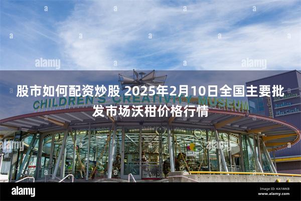 股市如何配资炒股 2025年2月10日全国主要批发市场沃柑价格行情