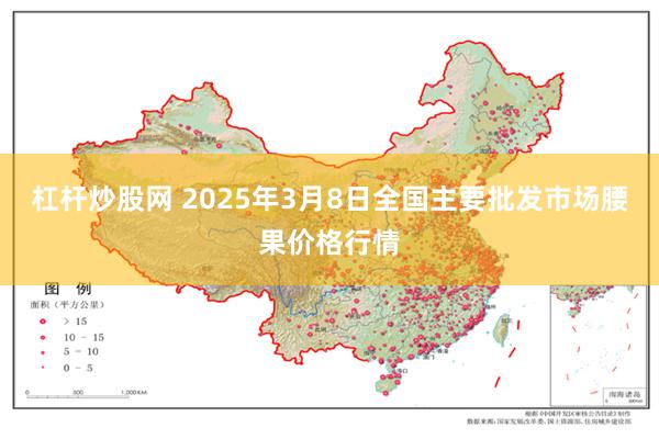 杠杆炒股网 2025年3月8日全国主要批发市场腰果价格行情